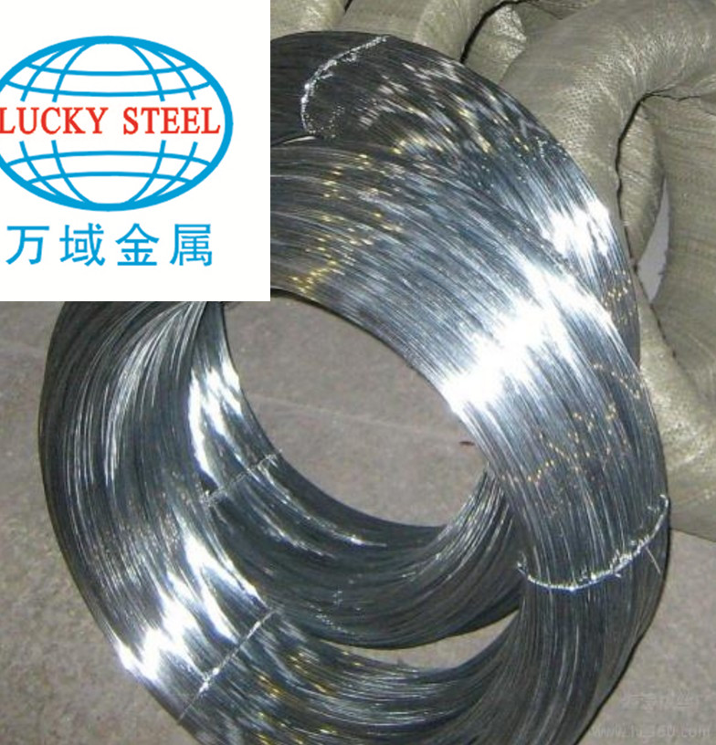 steel wire 4.JPG